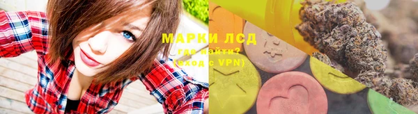 прущие грибы Новозыбков