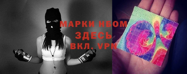 прущие грибы Новозыбков