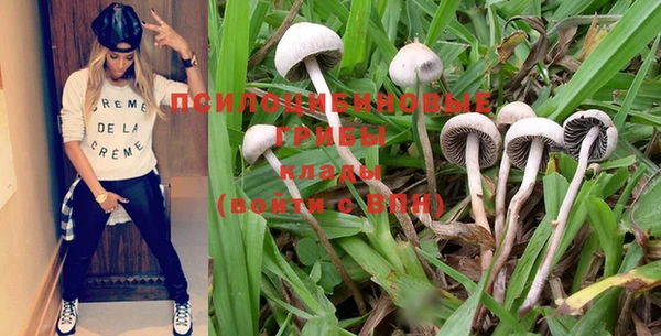MDMA Новодвинск