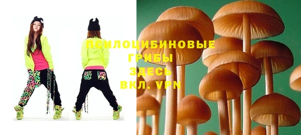 хмурый Новокубанск
