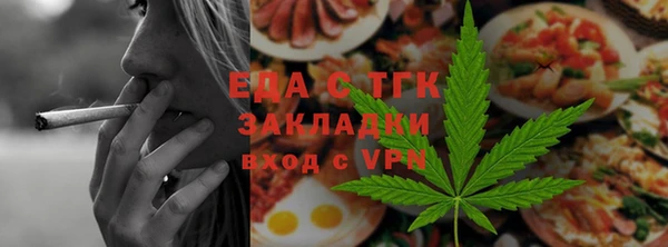 прущие грибы Новозыбков