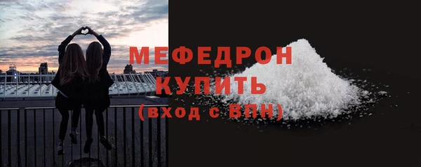 прущие грибы Новозыбков