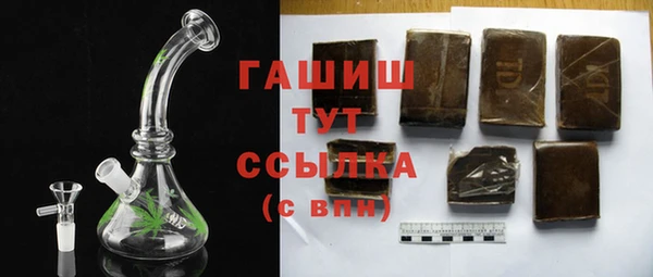 прущие грибы Новозыбков