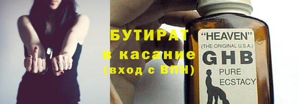 прущие грибы Новозыбков