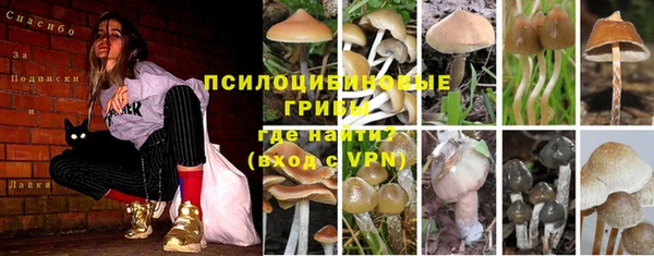 MDMA Новодвинск