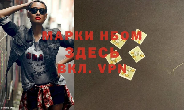 прущие грибы Новозыбков