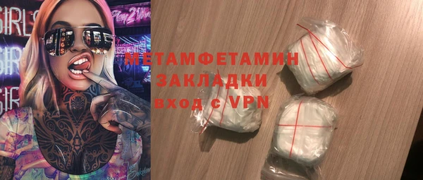 прущие грибы Новозыбков