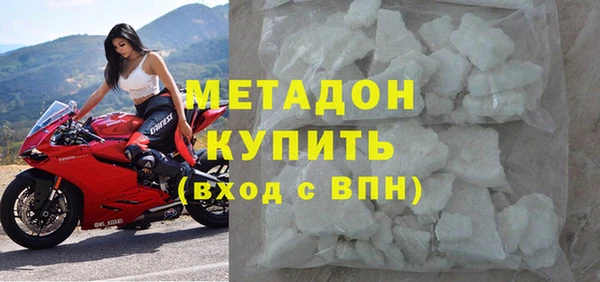 прущие грибы Новозыбков