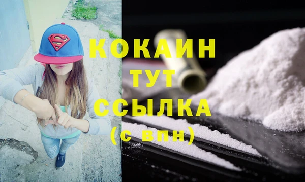 прущие грибы Новозыбков
