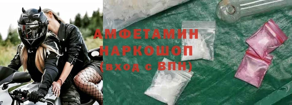 прущие грибы Новозыбков