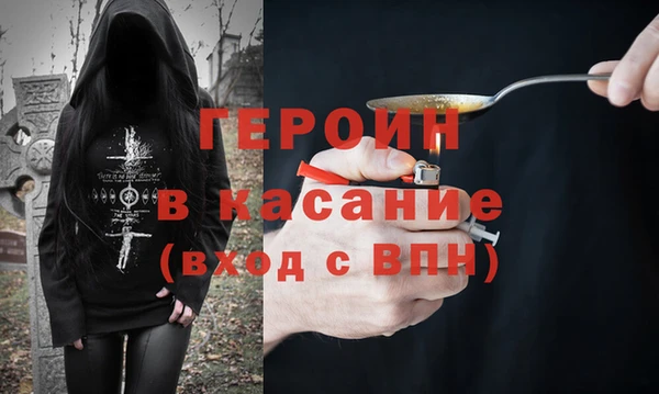 прущие грибы Новозыбков