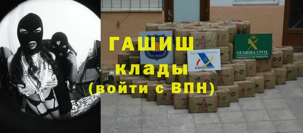 прущие грибы Новозыбков