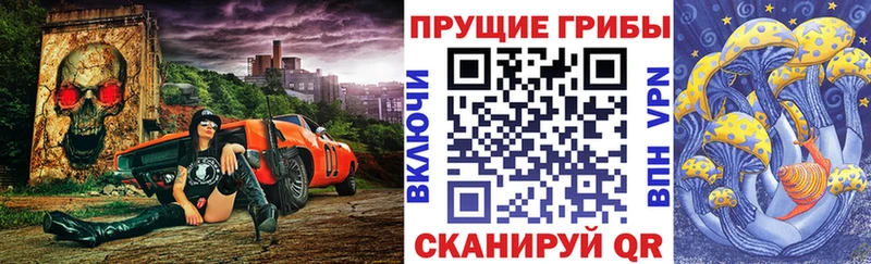 OMG как войти  Шагонар  Галлюциногенные грибы мицелий 