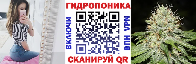 hydra зеркало  наркота  Шагонар  Марихуана конопля 